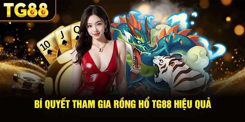 Bí Quyết Tham Gia Rồng Hổ TG88 Hiệu Quả
