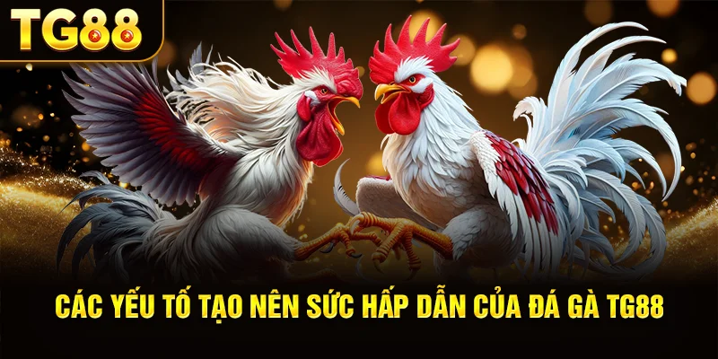 Các Yếu Tố Tạo Nên Sức Hấp Dẫn Của Đá Gà TG88