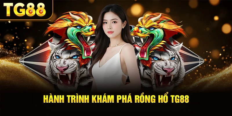 Hành Trình Khám Phá Rồng Hổ TG88