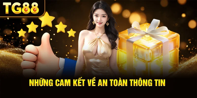 Những Cam Kết Về An Toàn Thông Tin