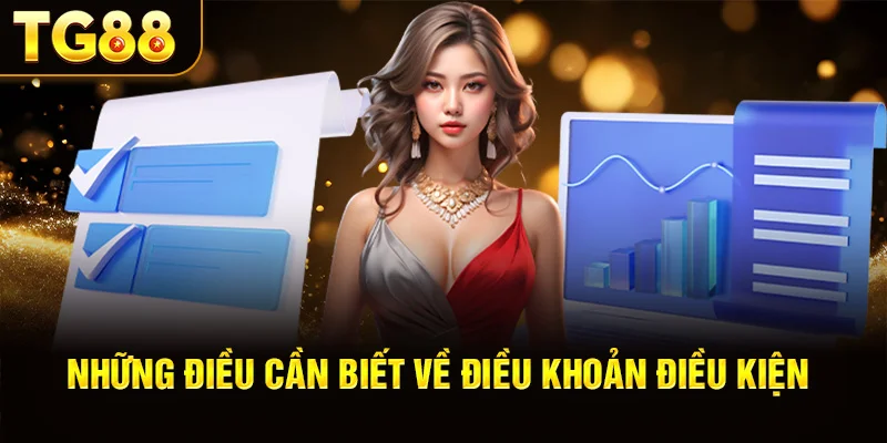 Những Điều Cần Biết Về Điều Khoản Điều Kiện