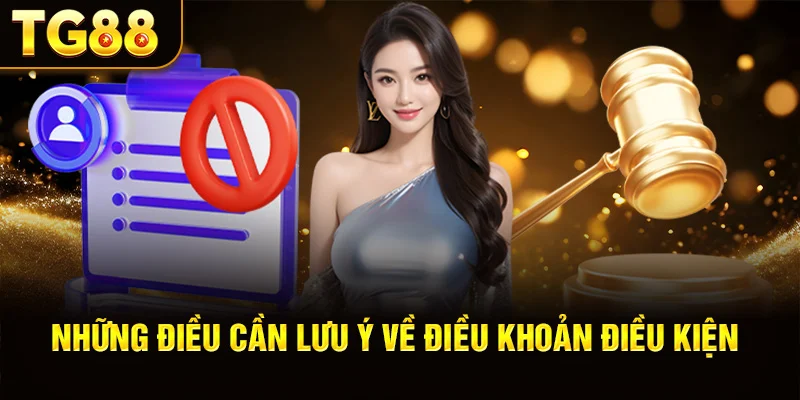 Những Điều Cần Lưu Ý Về Điều Khoản Điều Kiện